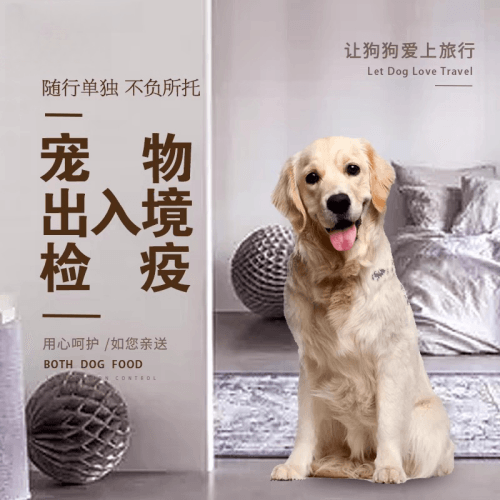 澳门半岛宠物托运到哥伦比亚猫狗宠物入境规定和