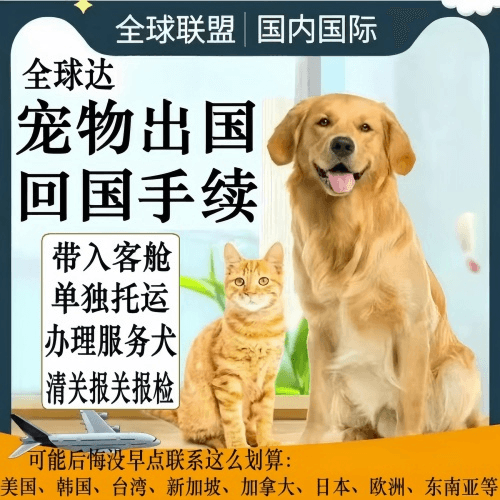 澳门半岛宠物托运到柬埔寨宠物入境规定和要求