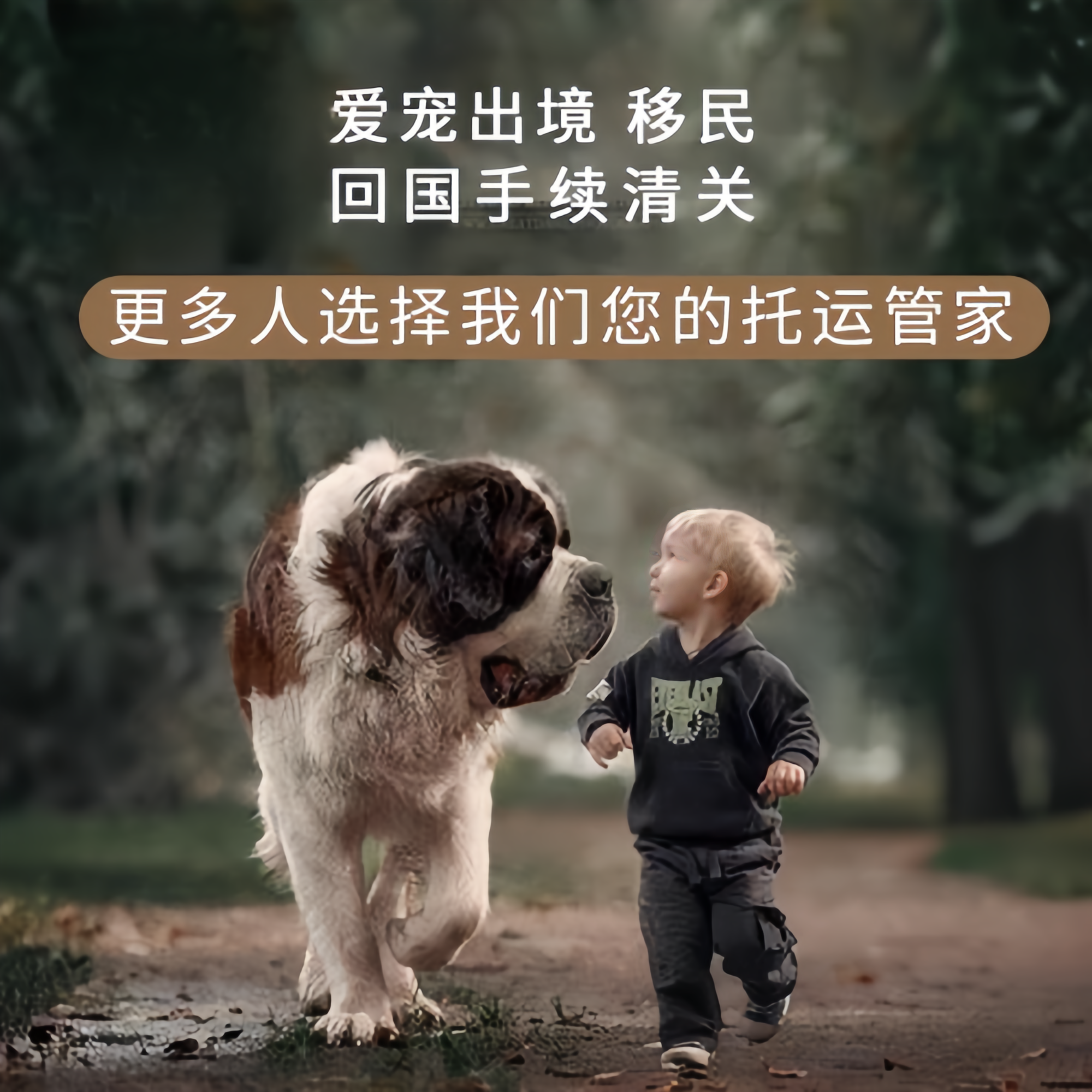 满财澳门半岛宠物全球达宠物托运在遵守入境目的地政策的条件