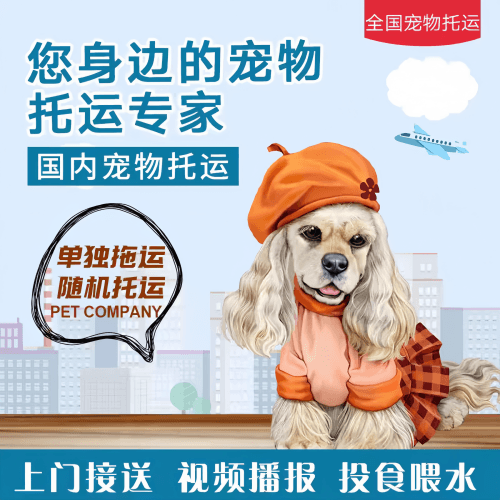 满财澳门半岛宠物全球达宠物托运作为专业的宠物运输代理机构